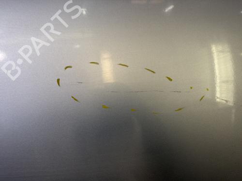 hood-citroen-berlingo-box-bodympv-b9-2008-33717160 main image