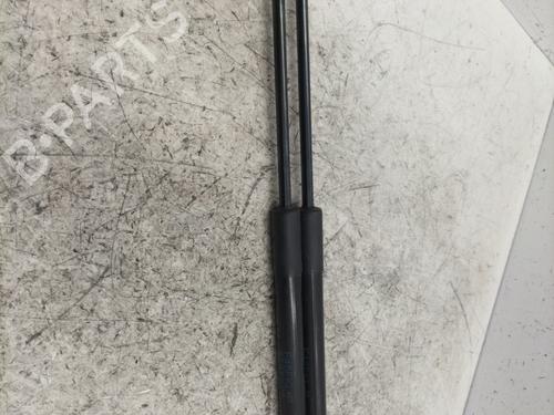 Hood lift support BMW X1 (F48) sDrive 18 d | BP24110907C139 