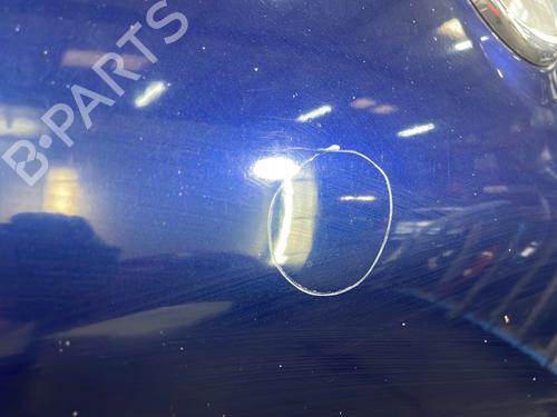 Hood FIAT QUBO (225_) 1.3 D Multijet (225CXB1A, 225AXB1A, 225CXB11, 225AXB11,... | BP28525818C1 