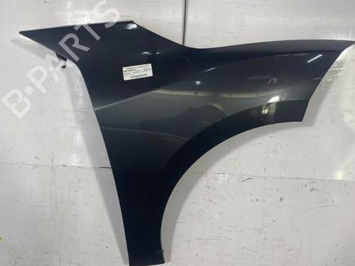 Right front fenders RENAULT MEGANE CC (EZ0/1_) 1.9 dCi (EZ0J, EZ1S) | BP29561914C42 
