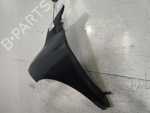 Left front fenders RENAULT MEGANE III Hatchback (BZ0/1_, B3_) 1.5 dCi (BZ09, BZ0D, BZ1W, BZ29, BZ14) | BP30162399C41 