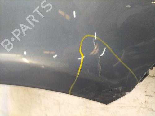 Right front fenders RENAULT CLIO III (BR0/1, CR0/1) 1.2 16V | BP30647424C42