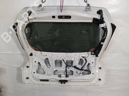 Tailgate NISSAN JUKE (F15) 1.5 dCi | BP29491979C6 