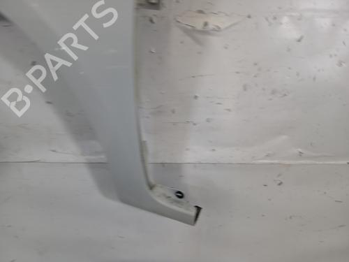 Left front fenders RENAULT CLIO III (BR0/1, CR0/1) 1.5 dCi | BP29540970C41 