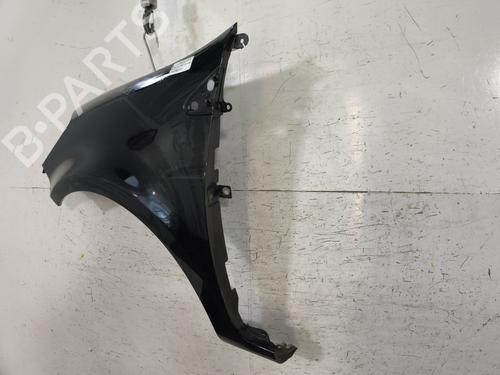 Left front fenders RENAULT CLIO III (BR0/1, CR0/1) 1.5 dCi | BP29700506C41 