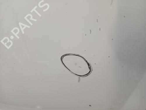 Motorhjelm RENAULT TRAFIC II Van (FL) 2.0 dCi 115 (FL01, FL0U, FL00, FL0H, FL0M) | BP32231701C1 