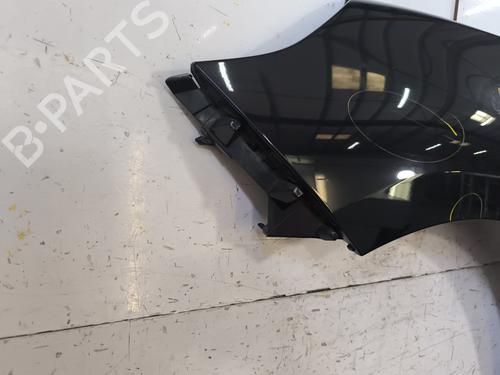 Left front fenders RENAULT SCÉNIC III (JZ0/1_) 1.5 dCi | BP28004300C41 
