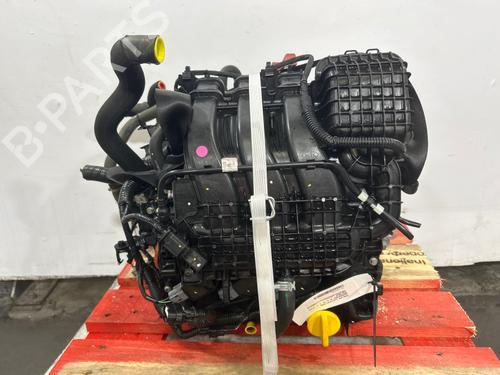 Engine DACIA SANDERO III 1.0 SCe 65 | BP40604808M1 - Image 3