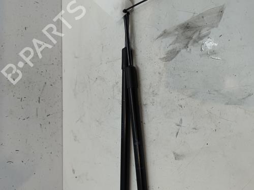 Hood lift support DACIA DUSTER (HM_) 1.5 dCi 110 (HMAB) | BP27706113C139