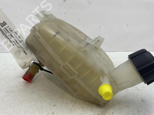 Expansion tank RENAULT TWINGO II (CN0_) 1.2 16V (CN04, CN0B) | BP29314983C120 