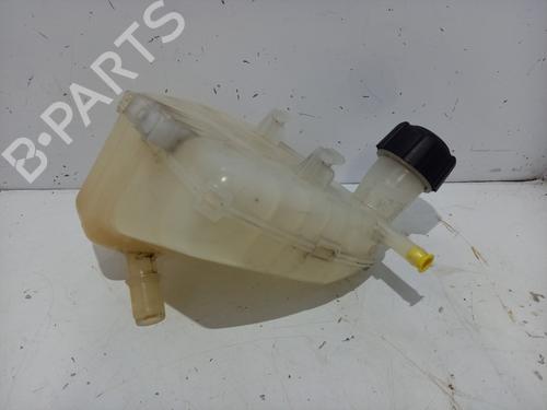 expansion-tank-renault-twingo-ii-cn0_-2007-31250825 main image