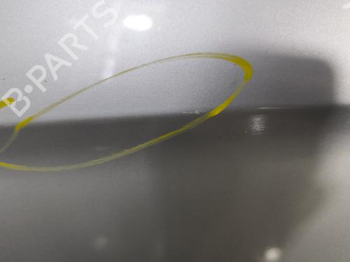 Left front door FORD S-MAX (WA6) 2.0 TDCi | BP29894224C2