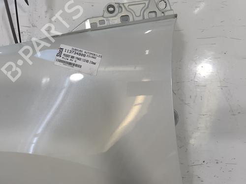 Left front fenders PEUGEOT 5008 (0U_, 0E_) 2.0 HDi | BP29834086C41