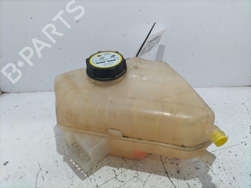 Used Expansion tank FORD FIESTA VI (CB1, CCN) 1.4 TDCi (70 hp) 27861380