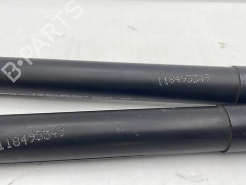 Gasdæmper bagklap RENAULT CAPTUR I (J5_, H5_) 1.5 dCi 90 (J5N4, J5M5, J5MW, J5M6, J5AL, J5AJ) | BP31280256C138 