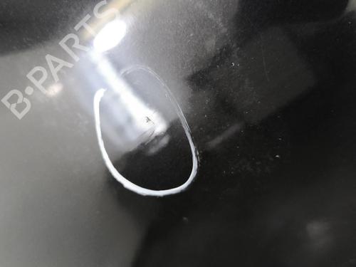 Right front door NISSAN QASHQAI I (J10, NJ10) 1.5 dCi | BP25603136C3