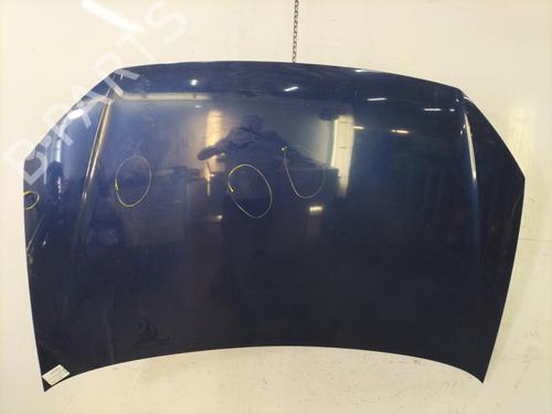 Used Hood VW POLO IV (9N_, 9A_) 1.4 TDI (70 hp) 30647693