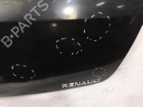Tailgate RENAULT CLIO III (BR0/1, CR0/1) 1.2 16V (BR02, BR0J, BR11, CR02, CR0J, CR11) | BP29960142C6 
