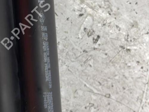 Used Tailgate lift support DACIA SANDERO II TCe 90 (B8M1, B8MA, B8AC) (90 hp) 22840514