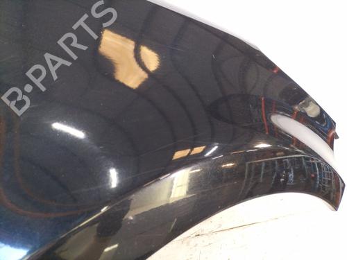 Right front fenders RENAULT CLIO III (BR0/1, CR0/1) 1.5 dCi | BP26386354C42 