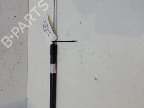 Hood lift support DACIA SANDERO II TCe 90 (B8M1, B8MA, B8AC) | BP26642498C139