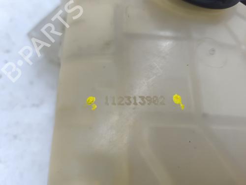 Expansion tank FORD FIESTA VI (CB1, CCN) 1.4 TDCi | BP29193981C120 