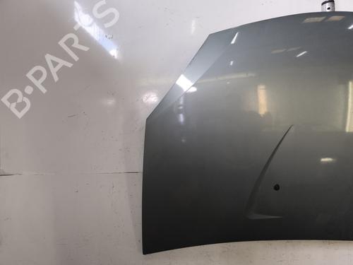Used Hood Hood DACIA SANDERO 1.4 (BS0C, BS0A, BS0G, BS1F, BS0E) (75 hp) 36299401 36299401