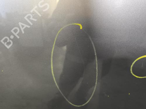 Left rear door RENAULT SCÉNIC III (JZ0/1_) 1.5 dCi | BP29869058C4