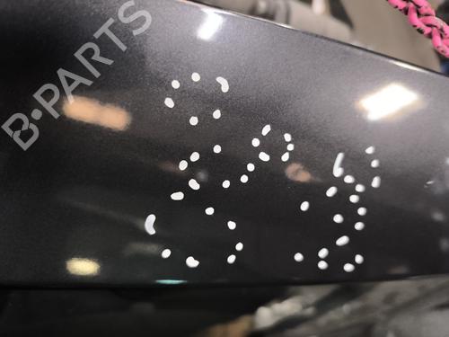 Tailgate DACIA SANDERO 1.4 MPI LPG | BP26031596C6