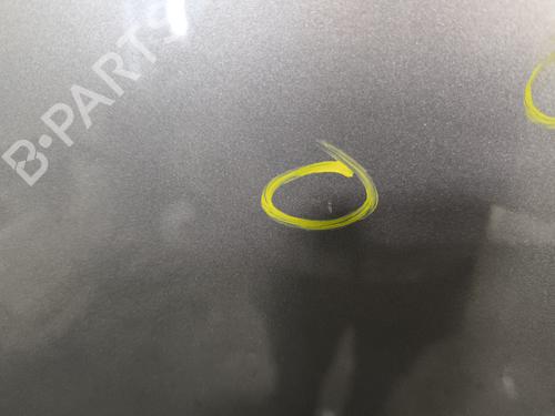 Right rear door RENAULT SCÉNIC III (JZ0/1_) 1.5 dCi | BP29869057C5 