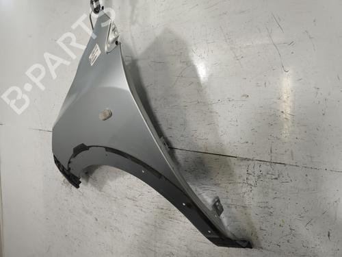 Left front fenders DACIA LODGY (JS_) 1.2 TCe (JSAY, JSM0) | BP30162446C41
