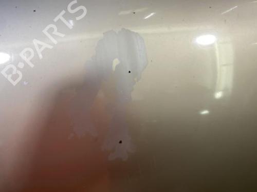 Used Hood RENAULT MEGANE I (BA0/1_) 2.0 i (BA0G) (114 hp) 22838428