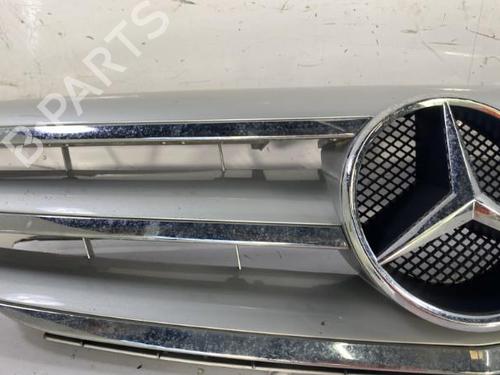 Grille MERCEDES-BENZ B-CLASS Sports Tourer (W245) B 200 (245.233) | BP22837129C40