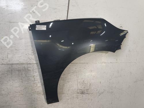 Used Right front fenders RENAULT SCÉNIC III (JZ0/1_) 1.9 dCi (JZ0J, JZ1J, JZ1K, JZ1S) (131 hp) 27288083