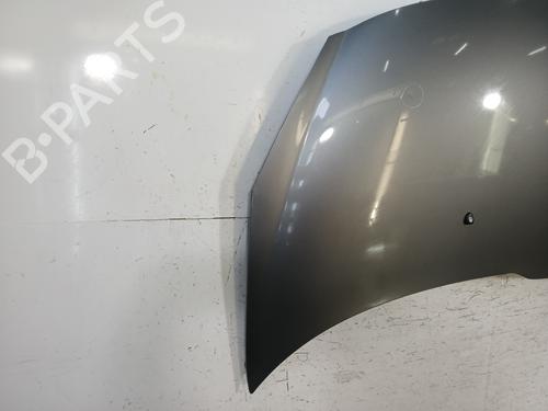Hood PEUGEOT 206+ (2L_, 2M_) 1.4 HDi eco 70 | BP29833734C1