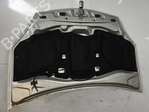 Hood DACIA SANDERO 1.5 dCi | BP30200228C1