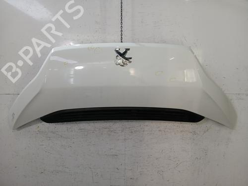 hood-peugeot-boxer-van-2006-31854736 main image
