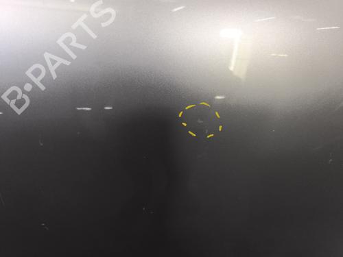 Left rear door NISSAN QASHQAI / QASHQAI +2 I (J10, NJ10, JJ10E) 1.5 dCi | BP27558610C4 