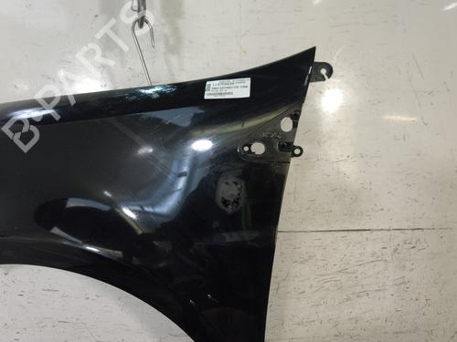 Left front fenders RENAULT CLIO III (BR0/1, CR0/1) 1.5 dCi | BP29700506C41 