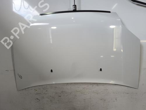 hood-ford-transit-connect-p65_-p70_-p80_-2002-27631676 main image