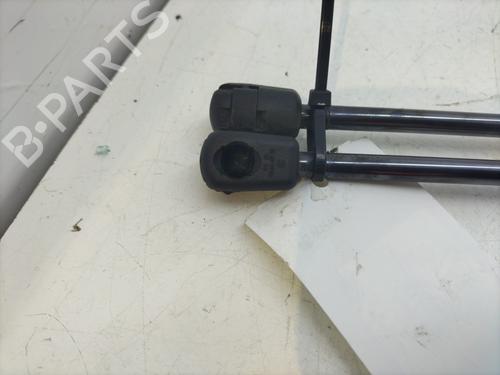 Tailgate lift support FORD FIESTA VII (HJ, HF) 1.1 Ti-VCT | BP29285998C138 