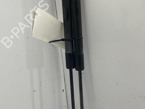 Used Tailgate lift support RENAULT CLIO IV (BH_) 1.5 dCi 75 (75 hp) 22838205