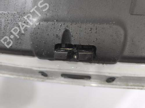 Used Tailgate Tailgate RENAULT CLIO III (BR0/1, CR0/1) 1.5 dCi (75 hp) 40516116 40516116