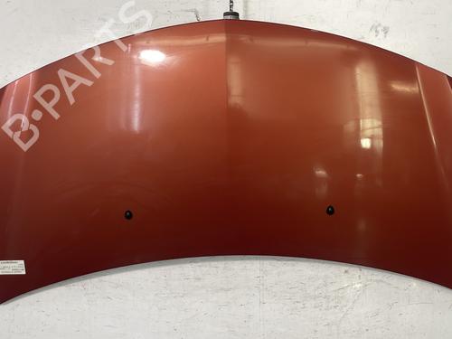 Used Hood RENAULT CLIO III (BR0/1, CR0/1) 1.4 16V (98 hp) 22843922