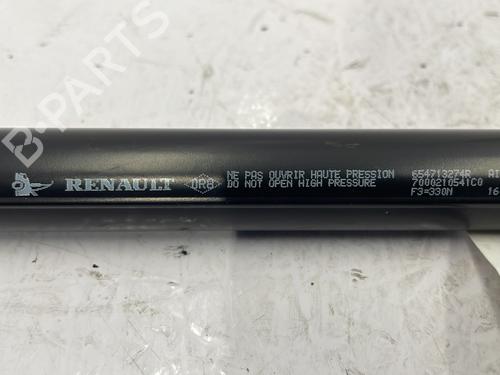Hood lift support DACIA SANDERO II 1.2 | BP25120766C139 