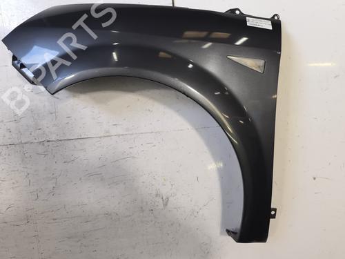 Used Left front fenders RENAULT SCÉNIC II (JM0/1_) 1.5 dCi (JM1E, JM16) (106 hp) 25833389