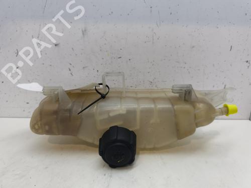 Expansion tank RENAULT CLIO III (BR0/1, CR0/1) 1.2 16V (BR02, BR0J, BR11, CR02, CR0J, CR11) | BP25996833C120 