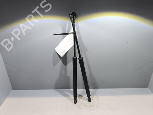 Hood lift support BMW 3 (E90) 318 d | BP29339014C139 