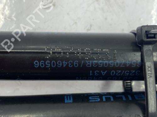 Hood lift support RENAULT TRAFIC III Van (FG_) 2.0 dCi 120 (FGMN) | BP22844681C139