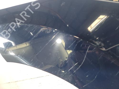 Left front fenders FORD FIESTA VI (CB1, CCN) 1.4 TDCi | BP26584950C41 
